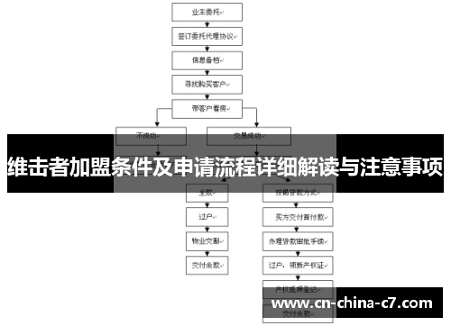 维击者加盟条件及申请流程详细解读与注意事项