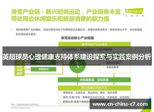 英超球员心理健康支持体系建设探索与实践案例分析