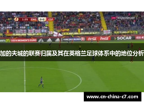 加的夫城的联赛归属及其在英格兰足球体系中的地位分析 加的夫城的联赛归属及其在英格兰足球体系中的地位分析