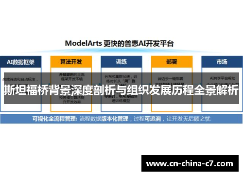 斯坦福桥背景深度剖析与组织发展历程全景解析 斯坦福桥背景深度剖析与组织发展历程全景解析